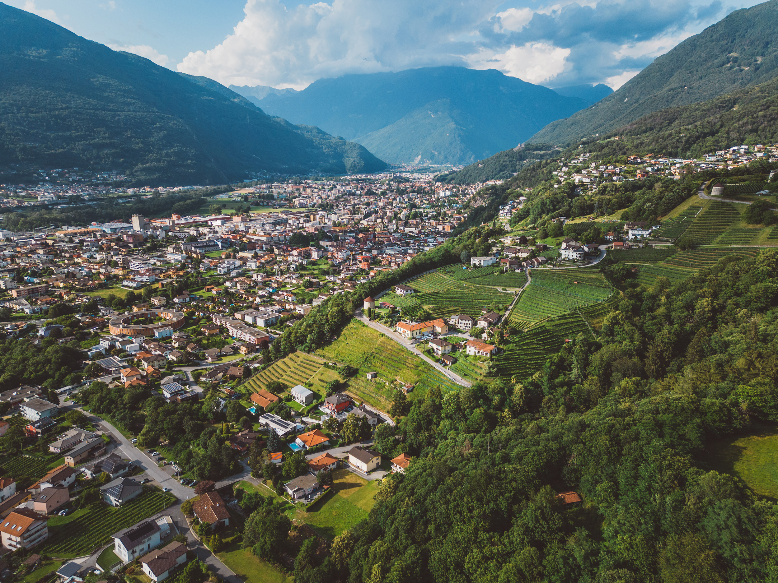 AMB informa - Aprile 2026