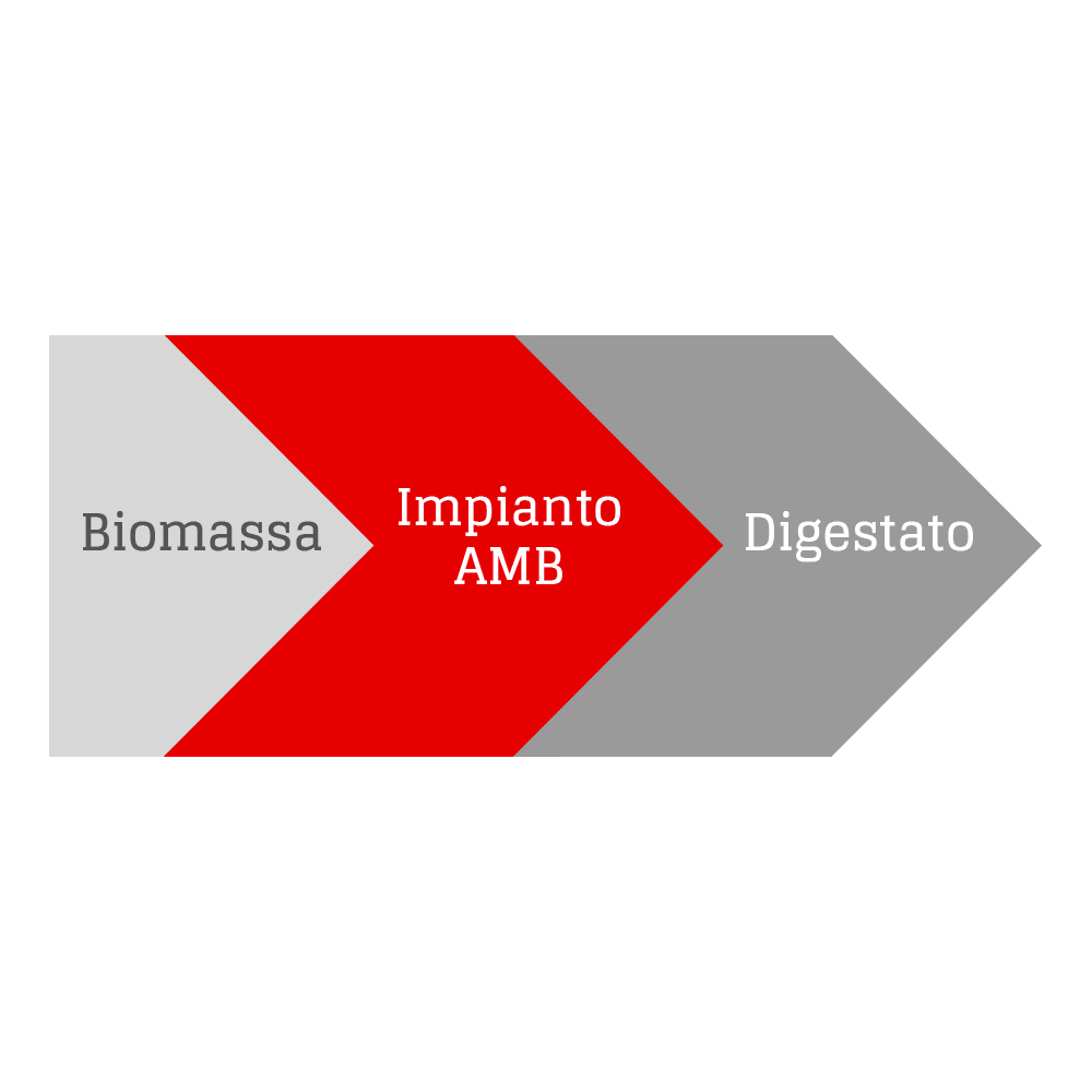 Biomassa